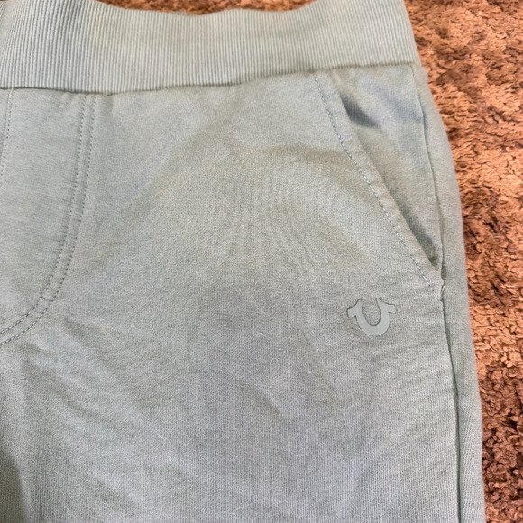 True Religion Men's L Green Blue Mint Color Block Jogger Pants - Picture 3 of 12